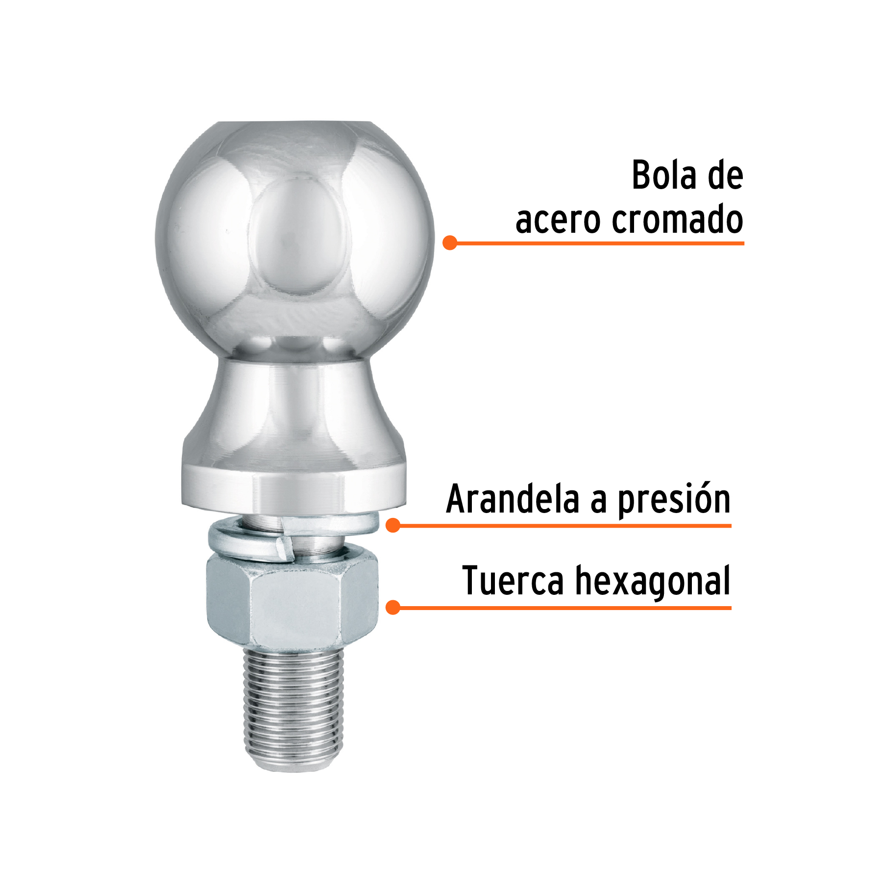 BOLA-35+FC1